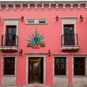 Nueve Agaves Hotel